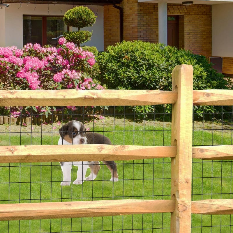 FOREHOGAR Black PVC Coated Welded Wire Fence 36 Inch x 25 Foot, 2 Inch x 3 Inch 16GA, Garden Border Fencing Roll Vinyl Coating Metal Wire Mesh for Yard Vegetable Plant Protection Poultry Netting - Image 4